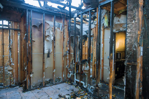 Professional Fire Damage Removal technician working in Catawissa, PA